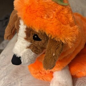 Orange Plush pumpkin DogCostume